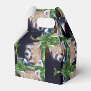 Roter Panda-Muster Geschenkschachtel