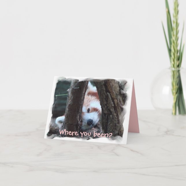 Roter Panda notecard: "Wo Sie gewesen? Du fehlst Karte (Vorderseite)