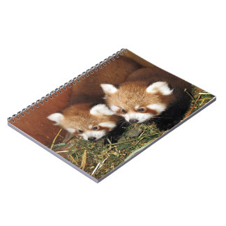 Roter Panda Notizblock