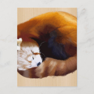 roter Panda Postkarte