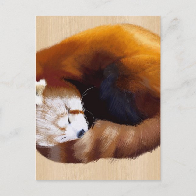 roter Panda Postkarte (Vorderseite)