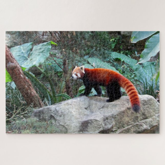 roter Panda Puzzle (Horizontal)