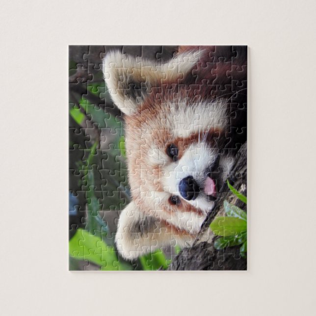 Roter Panda Puzzle (Vertikal)