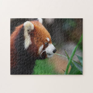 Roter Panda Puzzle