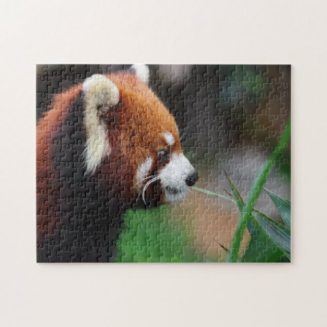 Roter Panda Puzzle (Horizontal)