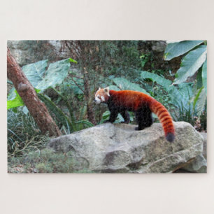 Roter Panda Puzzle