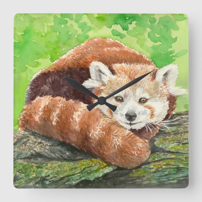 Roter Panda Quadratische Wanduhr (Vorderseite)