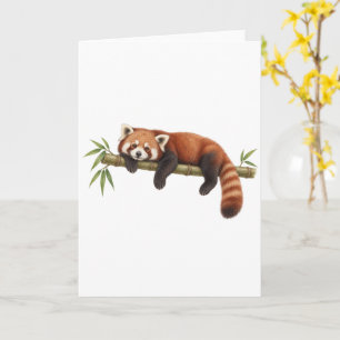 Roter Panda ruht auf Bambus Karte