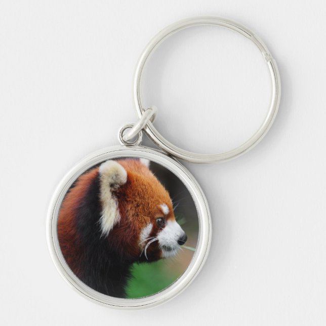 Roter Panda Schlüsselanhänger (Vorne)
