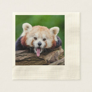 Roter Panda Serviette
