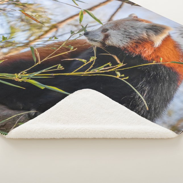 Roter Panda Sherpadecke (3/4)