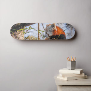 Roter Panda Skateboard