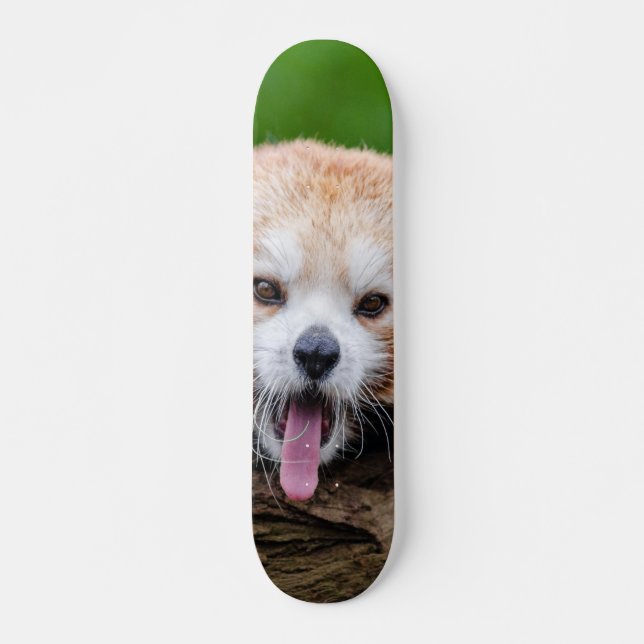 Roter Panda Skateboard (Vorne)