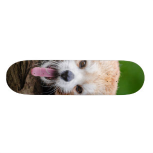 Roter Panda Skateboard