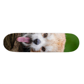 Roter Panda Skateboard