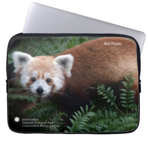 Roter Panda Smithsonian   Laptopschutzhülle