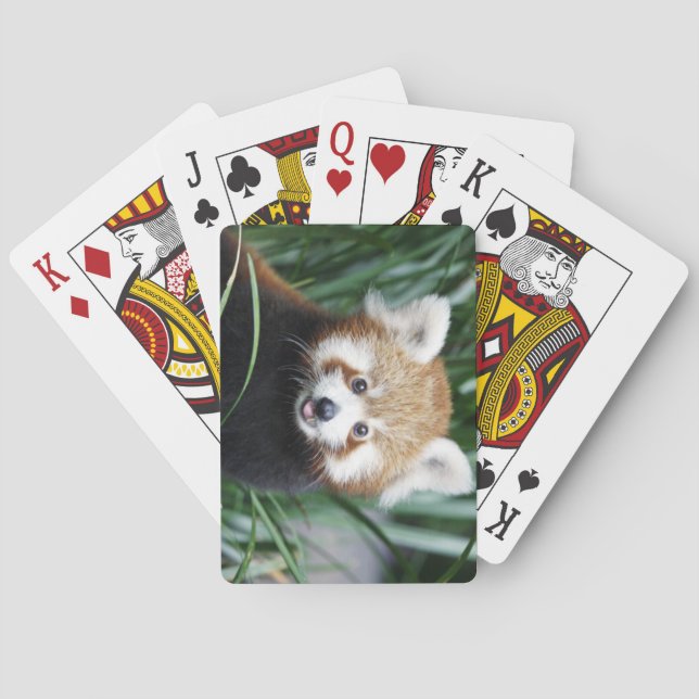 Roter Panda-Spielkarten Spielkarten (Rückseite)
