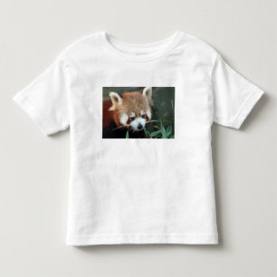 Roter Panda, Taronga Zoo, Sydney, Australien Kleinkind T-shirt