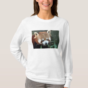 Roter Panda, Taronga Zoo, Sydney, Australien T-Shirt