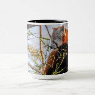Roter Panda Tasse