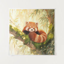 Roter Panda