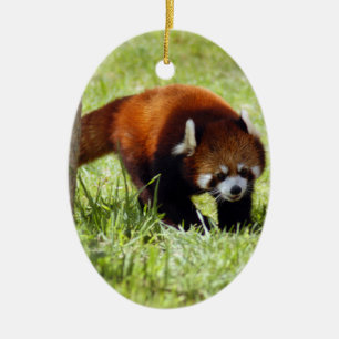 Roter Panda-Weihnachtsverzierung Keramik Ornament