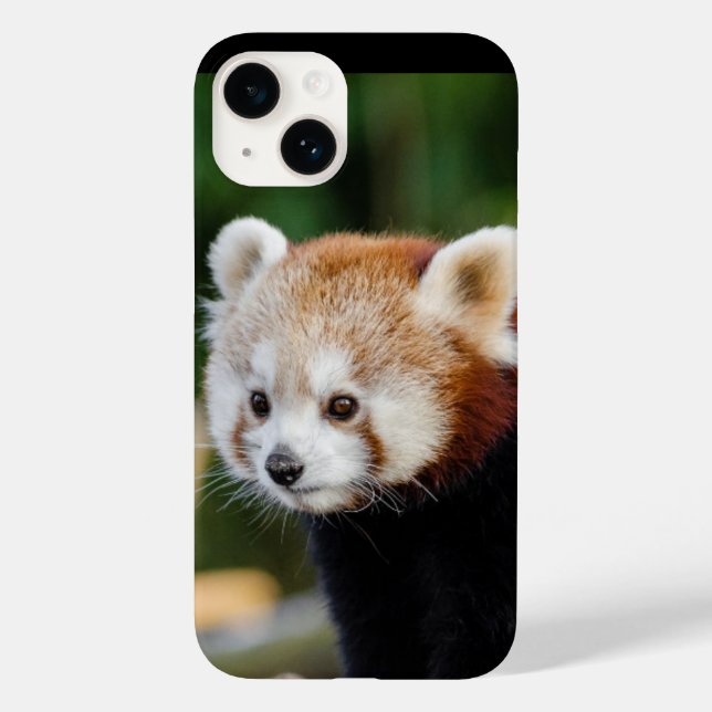 Roter Panda Wildtier Case-Mate iPhone Hülle (Rückseite)