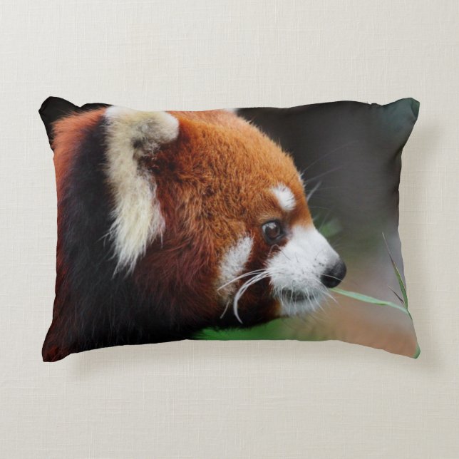 Roter Panda Zierkissen (Vorderseite)