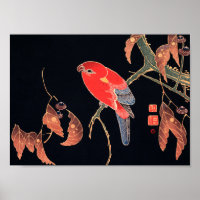 Roter Papagei am Zweig eines Baumes von Ito Jakuch