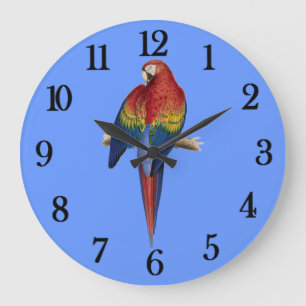 Roter Papagei Große Wanduhr