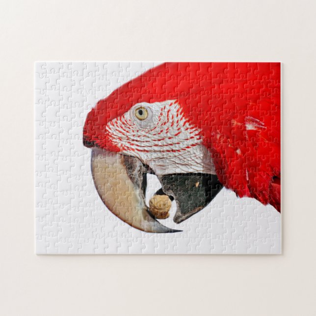 Roter Papagei mit Erdnuss Puzzle (Horizontal)