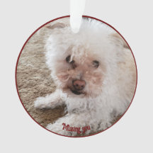 Roter Pawprint ausgefüllte Herzform, Pet Quote, Na