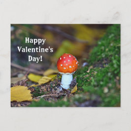 Roter Pilzwald Valentinstag Postkarte