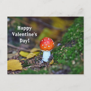 Roter Pilzwald Valentinstag Postkarte