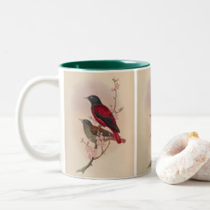Roter Pirol von John Gould Zweifarbige Tasse