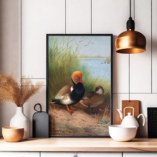 Roter Pochard (1913) Poster (Von Creator hochgeladen)