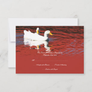 Roter Pop Art Pekin Ducks Hochzeit Einladung UAWG