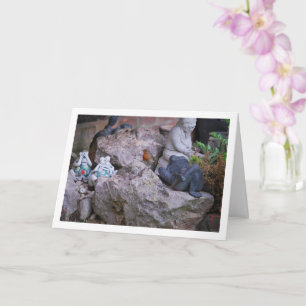 Roter Robin auf Felsengestein Karte