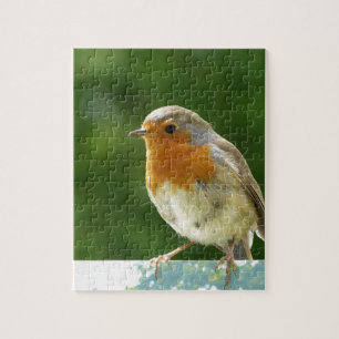 Roter Robin Puzzle