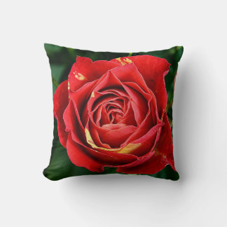 Roter Rosen-Fotografie Kissen