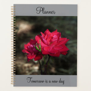 Roter Rosen Planer