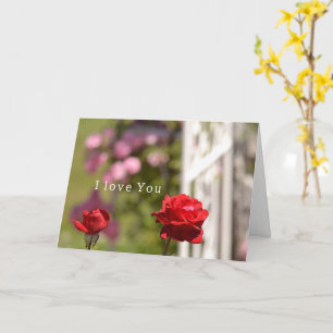 Roter Rosengarten Liebt Dich Karte