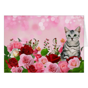 Roter Rosengarten mit Blank-Tabby-Katze
