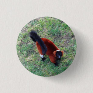Roter Ruffer Lemur #1 Pinback Button