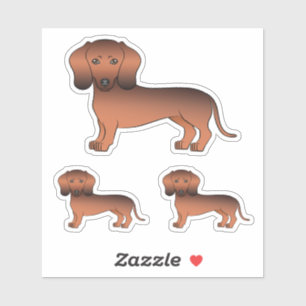Roter Sable glatthaariger Dachshund süßer Cartoon- Aufkleber