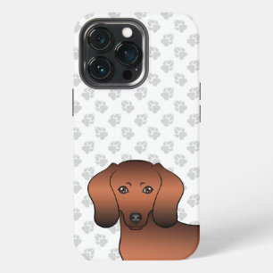 Roter Sable glatthaariger Dackelkopf mit Pfoten iPhone 13 Pro Hülle