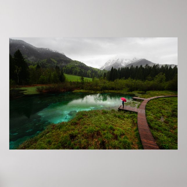 Roter Schirmsee Poster (Vorne)
