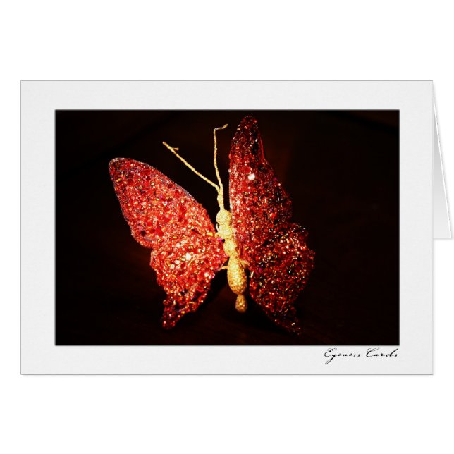 Roter Schmetterling (Vorderseite (Horizontal))