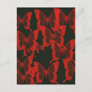 Roter Schmetterling aus dunklem Nachtlicht Postkarte