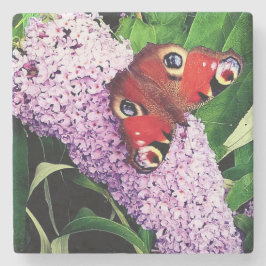 Roter Schmetterling Steinuntersetzer